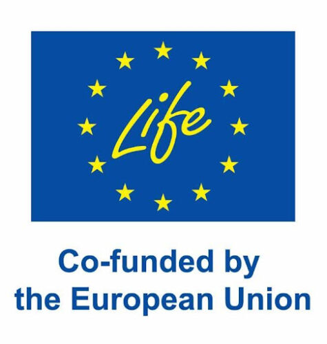 Co-funded by the European Union